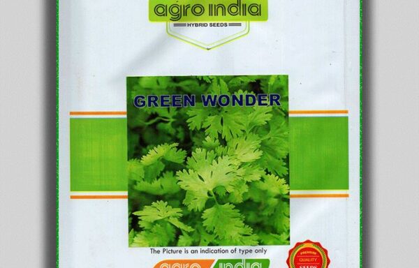 CORIANDER GREEN WONDER