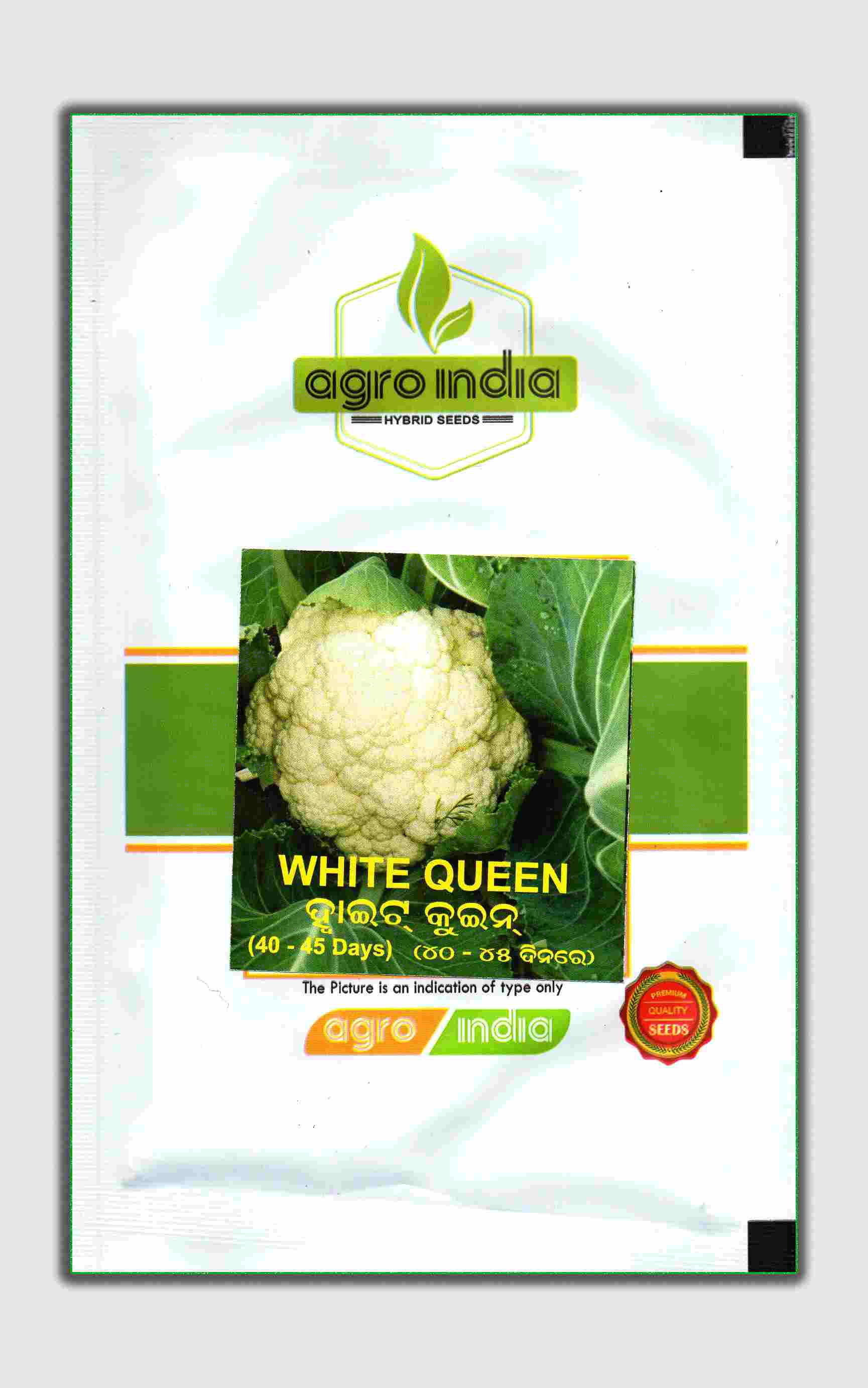 Cauliflower White Queen