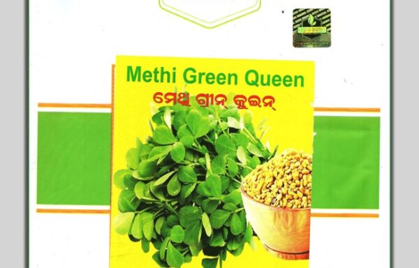 METHI GREEN QUEEN