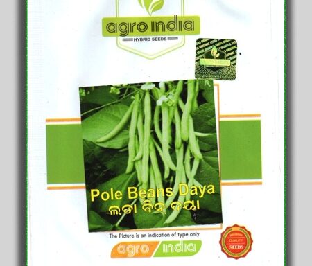 Pole Beans Daya